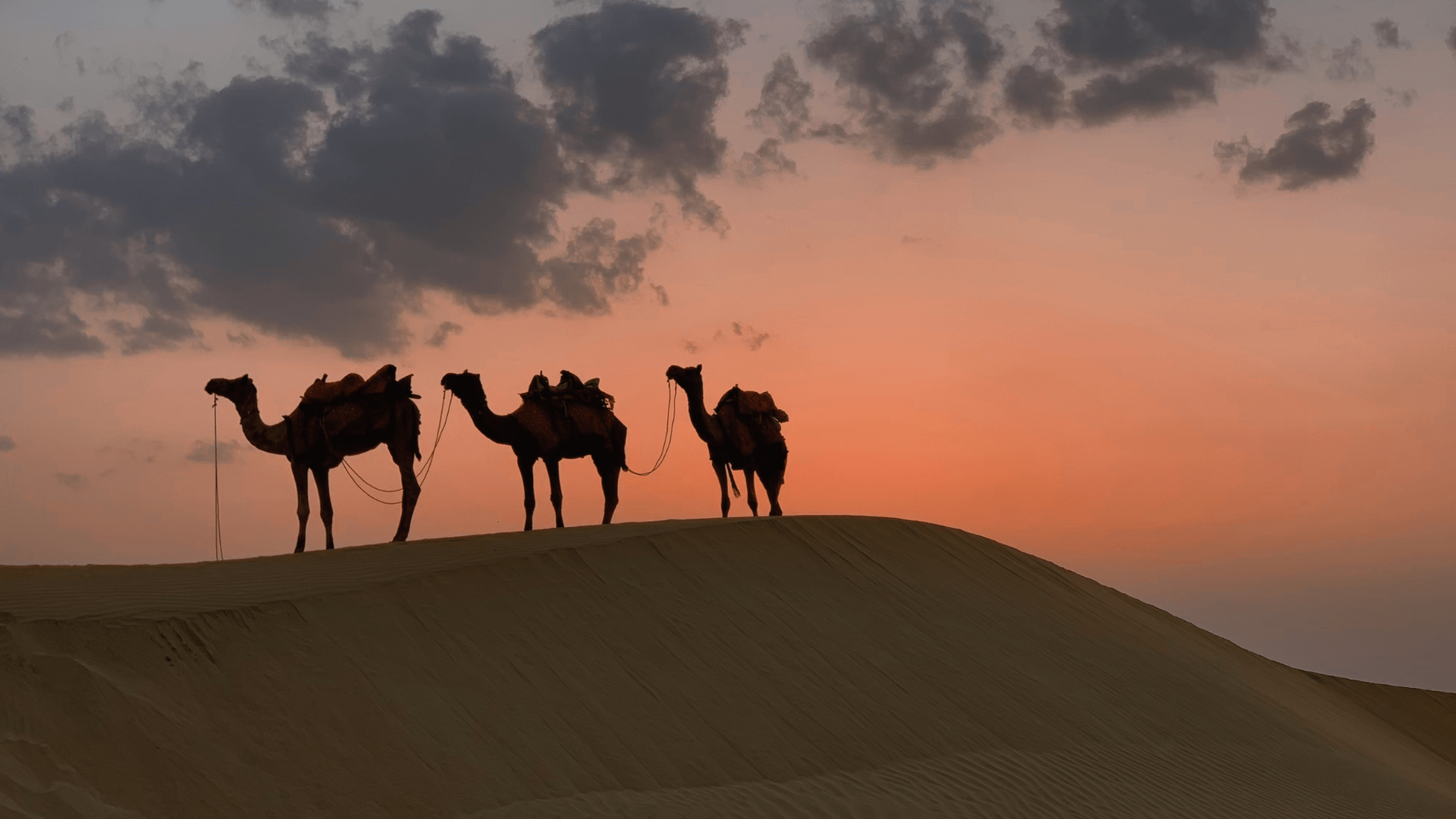 Tente de luxe classique dans le désert du Sahara marocain